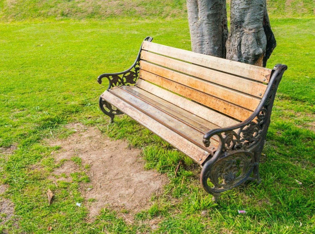 cuando nadie es culpable, todos somos culpables