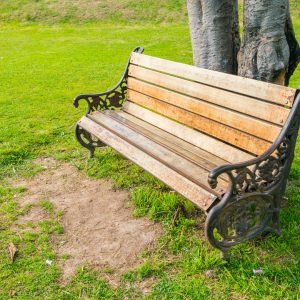 cuando nadie es culpable, todos somos culpables